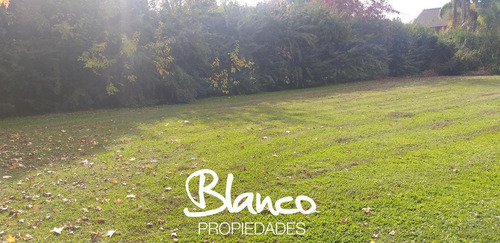Imagen 3 de 11 de Oportunidad! Excelente Lote Central De 800 Metros Dentro Del Barrio La Delfina.