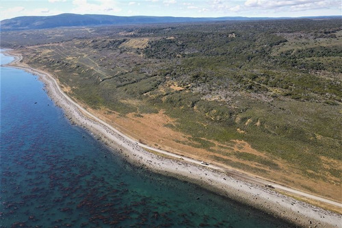 Imagen 9 de 15 de Agrícola En Venta En Punta Arenas