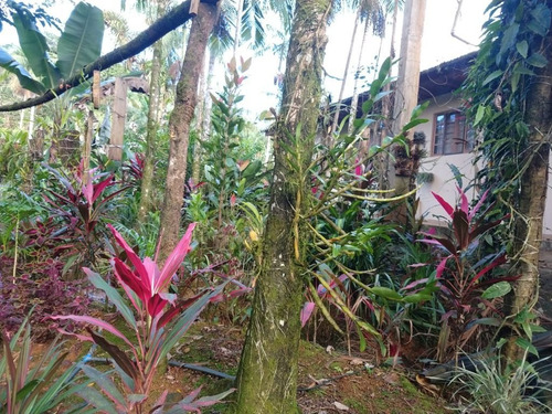 Imagem 28 de 28 de Linda Chácara No São João Da Graciosa Em Morretes-3.661,00 Metros - Ch0146