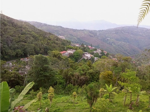 Vendo Terrreno 780m2 Hoyo De La Puerta 2908