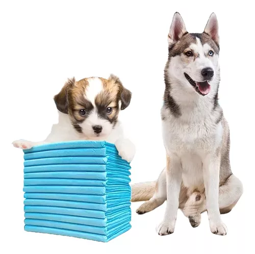 YORJA Empapadores Perros, 60x60 cm-100 Unidades Súper Absorbente A Prueba  de Fugas Almohadillas de Adiestramiento de Cachorros con Superficie de  Secado Rápido : : Productos para mascotas
