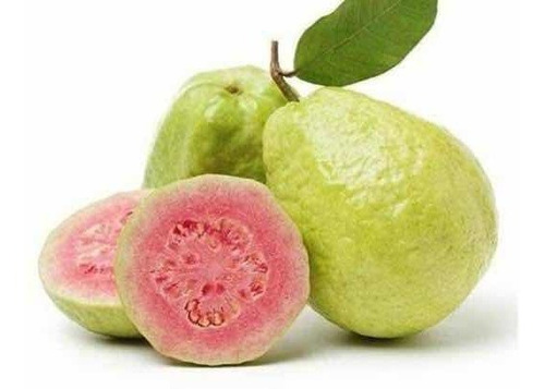 Imagem 1 de 6 de Muda De Goiaba Tailandesa (gigante) Enchertada Produzido30cm