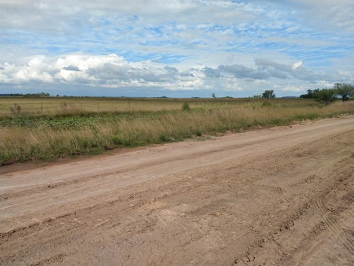 Lotes/terrenos Cañuelas 950m2 Y 1250m2