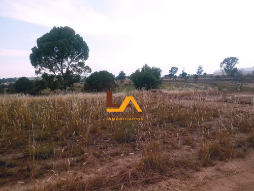 Imagen 9 de 10 de Terreno En Rustico En Venta En San Lucas Cuahutelulpan