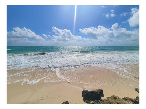 Imagen 6 de 9 de Terreno En Venta En Isla Blanca