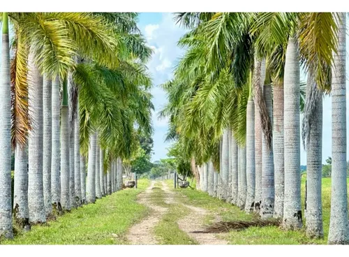 Gran Finca Ganadera, Meta