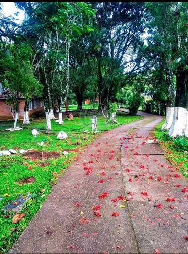 Imagem 14 de 29 de Chácara À Venda Em Batatuba - Ch035197