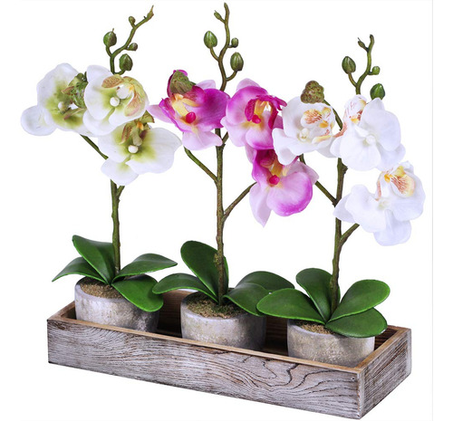 Juego De 3 Orquídeas Falsas Surtidas De Mini Plantas De Orqu