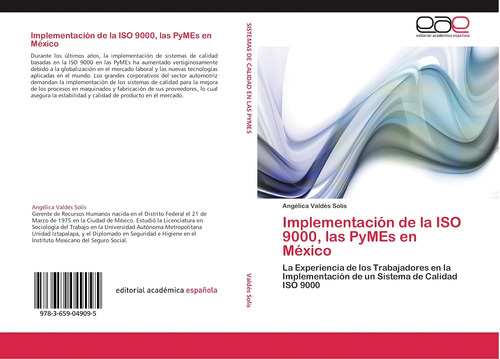 Libro: Implementación De La Iso 9000, Las Pymes En México: L