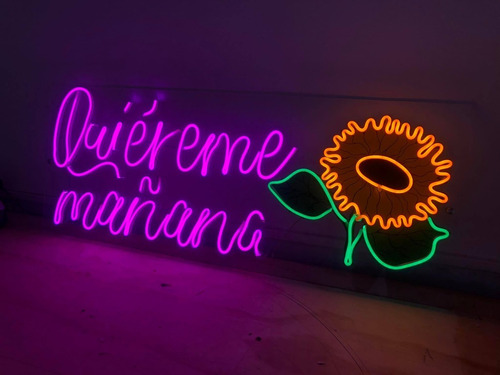 Anuncio Neon Personalizado 40x20 Fácil Instalación 6 Letras