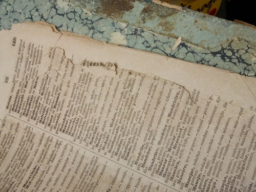 Livro Raro. Dicionário De 1859. Eduardo De Faria. Rio De Jan