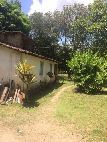 Melhor Área P/loteamento 91m Beira Pista, Granja 5.05 Hec, Guabiraba, Aceito Imóvel Ou Carro - Ch00009 - 67721727