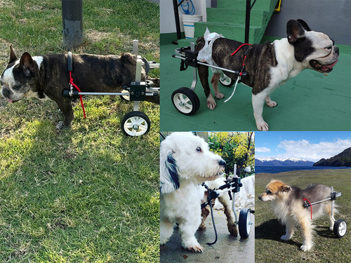 Carrito Para Perros Petwheels - Talle 2 Chica - Regulable Aluminio