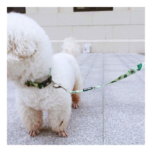 Juego De Correa Y Collar Para Perros Azuza, Divertidos De En