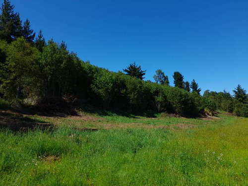 Se Vende Hermoso Campo En La Unión