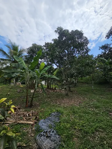 Finca En La Mesa Cundinamarca- San Joaquin