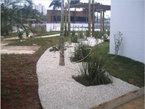Imagem 8 de 18 de Apartamento Para Venda, 4 Dormitórios, Vila Albertina - São Paulo - 101