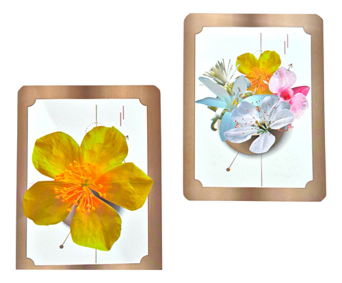 Flores De Bach, Kit 1 Guia Rapida Y 39 Tarjetas A Color