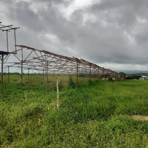 Imagen 7 de 26 de Finca En Venta Vía Cordero El Cuji Ksanchez