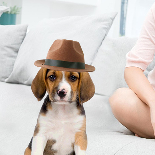 Disfraz De Vaquero Para Mascotas, Sombrero Compatible Con