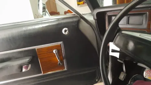 Dodge Dart 1980 Motor 225