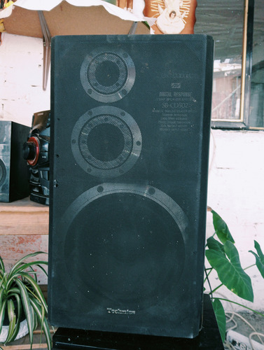 Bosinas Technics Modelo Sb-cd502 Negro (Usado)
