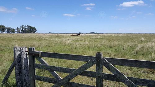 450 Has - Campo Ganadero En Venta A Metros De Ruta !!!