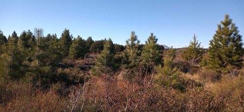 Imagen 5 de 10 de Venta De Lote En Solares Del Este, San Carlos De Bariloche