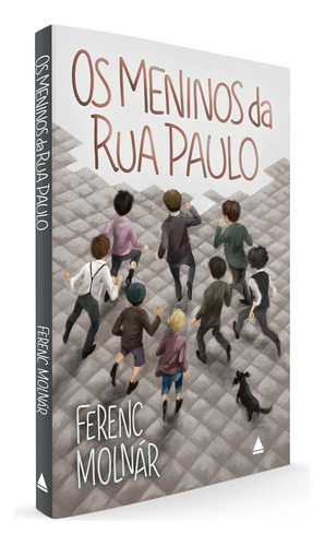 Livro Os Meninos Da Rua Paulo