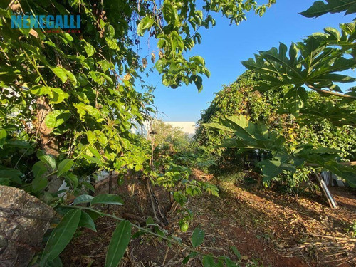 Imagem 8 de 8 de Terreno Parque Chapadão - Te0413