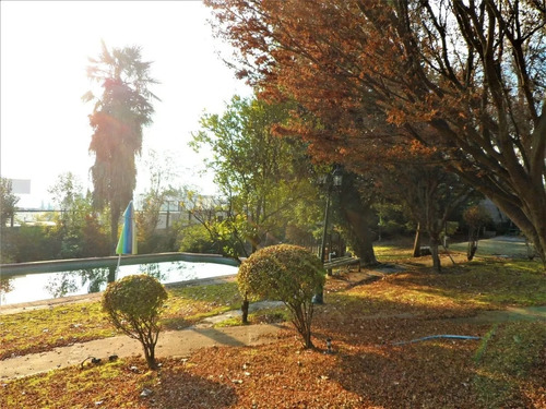 Álvaro Casanova / Av. Larraín