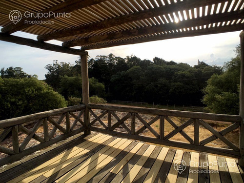 Imagen 5 de 29 de Chacra En Venta - La Pataia