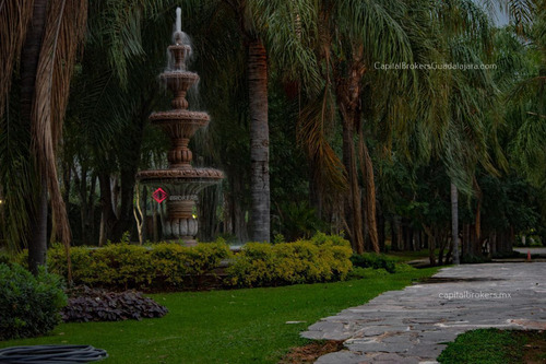 Propiedad Para Inversión Salón De Eventos San Isidro Mazatepec Zona Sur Galerías