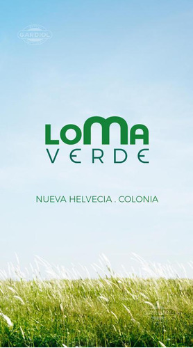 Venta. Fraccionamiento Loma Verde. Colonia. Nueva Helvecia.