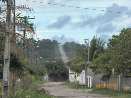 Imagem 11 de 13 de Terreno Em Catuama - Tr-05