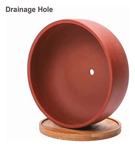 Maceta Terracota 20 Cm Con Orificio Drenaje Y Platillo Bambo