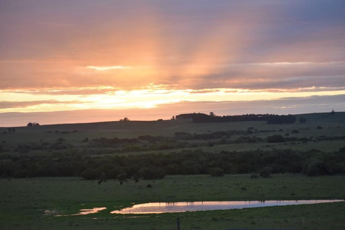Imagen 16 de 18 de Espectacular Casa De Campo, A 20 Mins De Jose Ignacio. (ref: Bon-2416)