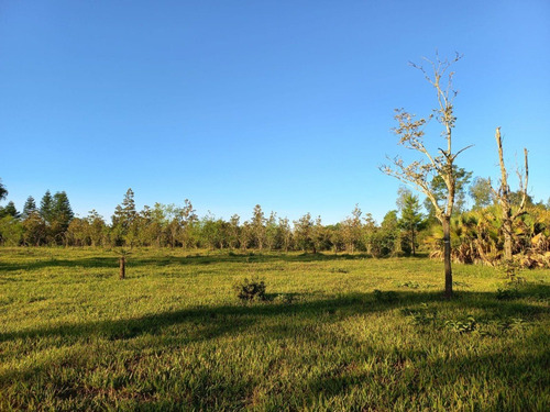 Imagen 25 de 30 de San Ignacio Golf & Resort Club De Campo