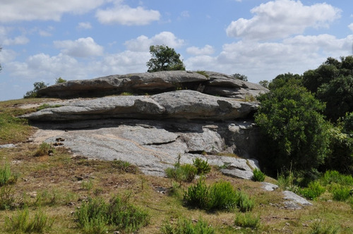 Venta De Chacras De 5 Has Se Ubicado En Garzon - Ref: 2962