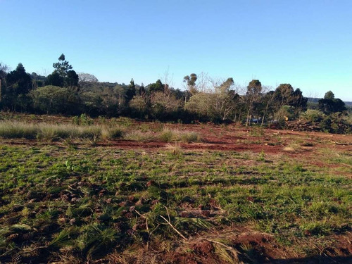 Imagen 5 de 7 de Vendo Lotes Bº Ecologico, Obera - Rn