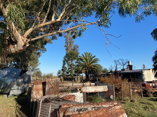 Campo En Venta Las Flores