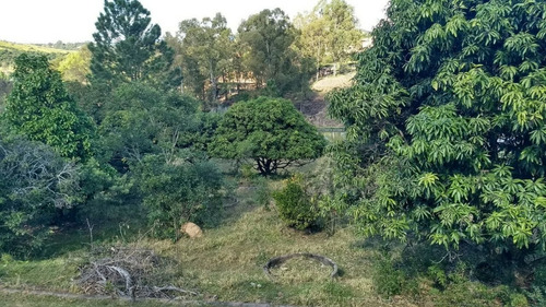 Imagem 5 de 11 de Chácara Em Itupeva À Venda, Com Documentação Ok Para Financiamento E Aceita Permuta Menor Valor! - Ch00009 - 34233409