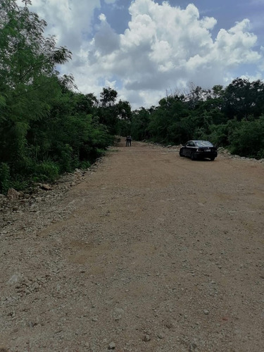 Imagen 9 de 10 de Lotes Semi Urbanizados Punta Clara En Dzidzantún, Yucatán