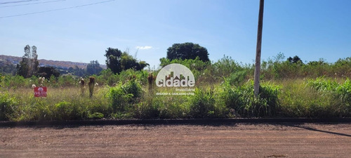 Imagem 3 de 11 de Terreno À Venda, Morumbi - Cascavel/pr - 13921