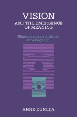 Libro Vision And The Emergence Of Meaning : Blind And Sig...