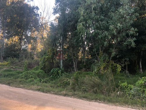 Imagen 2 de 7 de Oportunidad Terreno La Barra - La Barra El Tesoro