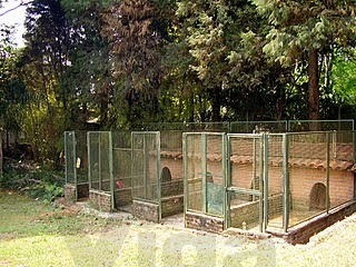 Imagem 4 de 12 de Casa Para Venda, 4 Dormitório(s), 450.0m² - 9120