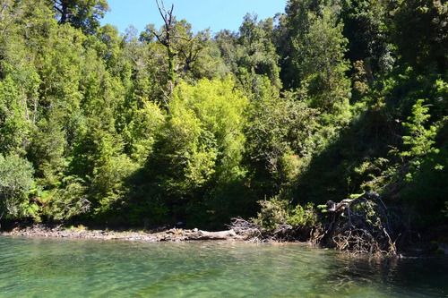 Sitio En Puerto Gato, Zona De Preservacion