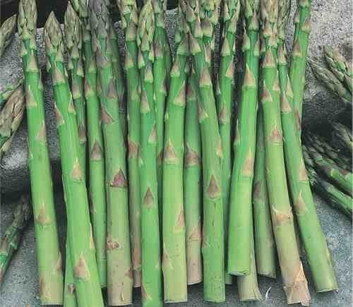 250 Sementes P/ Plantio De Aspargo Verde  Aspargus 