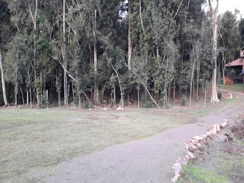 Chácara 10.000 M² - Pega Fogo - Taquara - Rs - 2070 - 33675674
